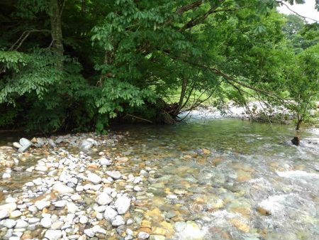 土砂降りの雨に逃げ帰る ～九頭竜川水系～
